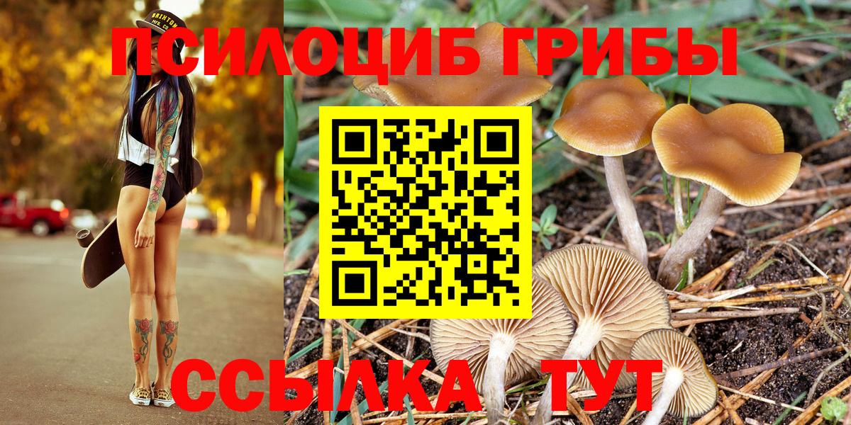 Галлюциногенные грибы Psilocybine cubensis Боровичи